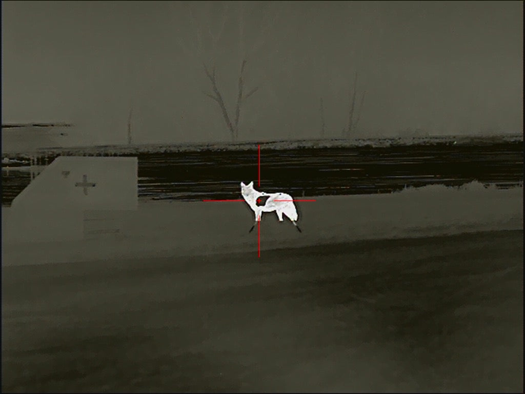 Full Size AR500 SIDE PROFILE Reactive Coyote Target