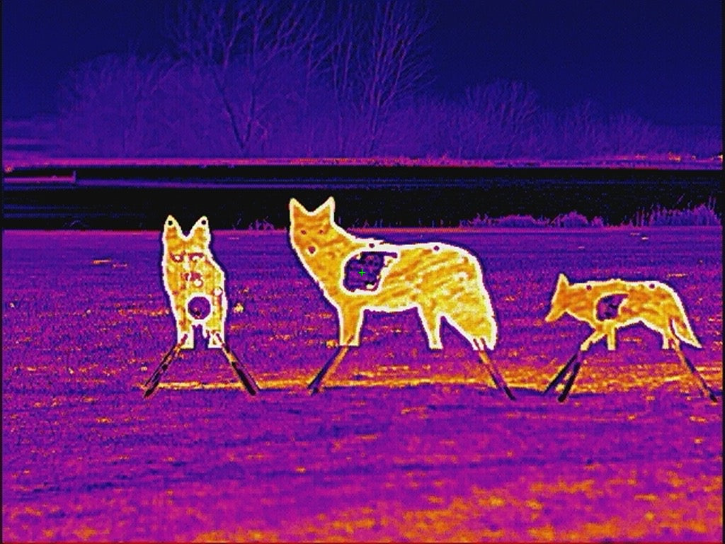 Full Size AR500 Front Facing Coyote Target W/ Reactive Vital