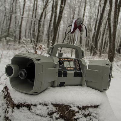 FoxPro Shockwave Caller