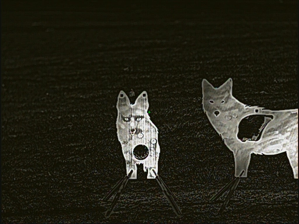 Full Size AR500 Front Facing Coyote Target W/ Reactive Vital