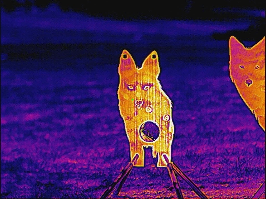 Full Size AR500 Front Facing Coyote Target W/ Reactive Vital